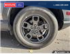 2023 Ford Bronco Sport Big Bend (Stk: 5594A) in Vanderhoof - Image 6 of 21