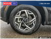 2024 Kia Sportage LX (Stk: PO2321) in Dawson Creek - Image 6 of 25