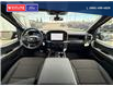 2025 Ford F-150 STX (Stk: 5703) in Vanderhoof - Image 18 of 22
