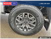 2022 Ford F-150 Tremor (Stk: 26T019A) in Quesnel - Image 7 of 25