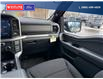 2025 Ford F-150 XLT (Stk: 5759) in Vanderhoof - Image 20 of 22