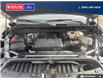 2025 Chevrolet Silverado 1500 LT (Stk: 9987) in Williams Lake - Image 8 of 28