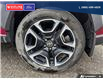 2019 Toyota RAV4 Trail (Stk: 9995) in Williams Lake - Image 6 of 28