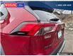 2019 Toyota RAV4 Trail (Stk: 9995) in Williams Lake - Image 11 of 28