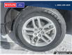2025 Ford Explorer Active (Stk: 3077) in Quesnel - Image 6 of 25