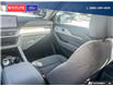 2025 Ford Explorer Active (Stk: 3077) in Quesnel - Image 25 of 25