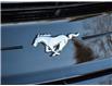 2020 Ford Mustang EcoBoost (Stk: BSD290A) in Waterloo - Image 22 of 23