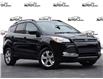 2016 Ford Escape SE (Stk: ZE053A) in Waterloo - Image 1 of 22