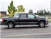 2019 Ford F-150 XLT (Stk: JD960C) in Waterloo - Image 3 of 20