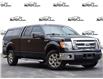 2013 Ford F-150 XLT (Stk: IP0011AXXZ) in Waterloo - Image 1 of 27