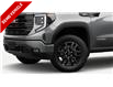 2025 GMC Sierra 1500 Elevation (Stk: S208) in Blenheim - Image 5 of 7