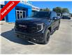 2026 GMC Sierra 1500 Elevation (Stk: T032) in Blenheim - Image 1 of 32