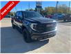 2026 GMC Sierra 1500 Elevation (Stk: T032) in Blenheim - Image 8 of 32