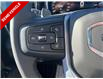 2026 GMC Sierra 1500 Elevation (Stk: T032) in Blenheim - Image 19 of 32