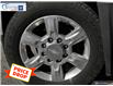 2018 Chevrolet Silverado 2500HD LTZ (Stk: 22-258A) in Brockville - Image 6 of 27