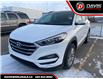 2017 Hyundai Tucson SE (Stk: 11382) in Lethbridge - Image 1 of 7