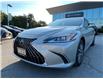 2023 Lexus ES 300h  (Stk: 15U2323) in Richmond Hill - Image 1 of 30