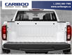 2023 GMC Sierra 1500 Pro (Stk: CGTXCW) in Williams Lake - Image 7 of 23