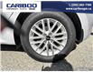 2023 Kia Rio LX+ (Stk: 6718) in Williams Lake - Image 6 of 25