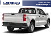 2024 Chevrolet Silverado 1500 Work Truck (Stk: 24T042) in Williams Lake - Image 3 of 11