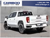 2024 GMC Sierra 1500 Elevation (Stk: 24T045) in Williams Lake - Image 4 of 19