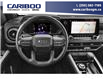 2023 Chevrolet Colorado Trail Boss (Stk: 7OD43516213) in Williams Lake - Image 4 of 12