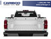 2019 Chevrolet Silverado 2500HD WT (Stk: 24T059A) in Williams Lake - Image 8 of 11