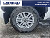 2024 Toyota Tundra SR5 (Stk: 24198) in Dawson Creek - Image 6 of 25