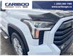 2024 Toyota Tundra SR5 (Stk: 24198) in Dawson Creek - Image 8 of 25