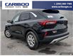 2024 Ford Escape Active (Stk: 1199) in Quesnel - Image 4 of 20