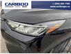 2024 Ford Escape Active (Stk: 1199) in Quesnel - Image 8 of 20