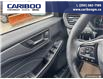 2024 Ford Escape Active (Stk: 1199) in Quesnel - Image 13 of 20