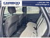 2024 Ford Escape Active (Stk: 1199) in Quesnel - Image 18 of 20
