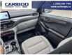 2024 Ford Escape Active (Stk: 1199) in Quesnel - Image 20 of 20