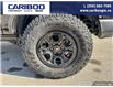 2022 Ford Bronco Wildtrak (Stk: 2005) in Quesnel - Image 6 of 20