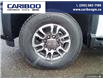 2025 GMC Sierra 3500HD SLE (Stk: 25T037) in Williams Lake - Image 6 of 33