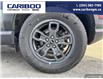 2023 Ford Bronco Sport Big Bend (Stk: 5603A) in Vanderhoof - Image 6 of 21