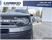 2023 Ford Bronco Sport Big Bend (Stk: 5603A) in Vanderhoof - Image 7 of 21