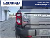 2023 Ford Bronco Sport Big Bend (Stk: 5603A) in Vanderhoof - Image 8 of 21