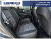 2023 Ford Bronco Sport Big Bend (Stk: 5603A) in Vanderhoof - Image 19 of 21