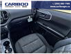 2023 Ford Bronco Sport Big Bend (Stk: 5603A) in Vanderhoof - Image 21 of 21