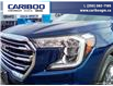 2022 GMC Terrain SLT (Stk: 24T171A) in Williams Lake - Image 8 of 29