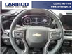 2025 Chevrolet Silverado 3500HD High Country (Stk: 25T007) in Williams Lake - Image 14 of 34