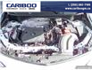 2025 Buick Encore GX Avenir (Stk: 25T041) in Williams Lake - Image 10 of 29