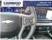 2025 Chevrolet Silverado 3500HD LTZ (Stk: 25T019) in Williams Lake - Image 16 of 32
