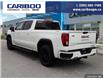 2025 GMC Sierra 1500 Elevation (Stk: 25T052) in Williams Lake - Image 4 of 21