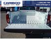 2025 GMC Sierra 3500HD Pro (Stk: 25T028) in Williams Lake - Image 12 of 32