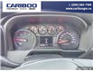 2025 GMC Sierra 3500HD Pro (Stk: 25T028) in Williams Lake - Image 15 of 32