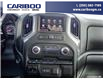 2025 GMC Sierra 3500HD Pro (Stk: 25T028) in Williams Lake - Image 19 of 32