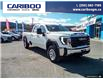 2025 GMC Sierra 3500HD Pro (Stk: 25T028) in Williams Lake - Image 28 of 32